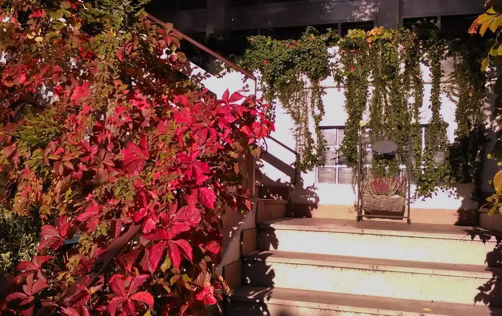 Hotel Ristorante Sole Múggia Dış mekan fotoğraf